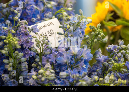 Amsterdam, Niederlande Nahaufnahme von lila und blau Blumenstrauss für den Verkauf in einem Outdoor-Markt. Stockfoto