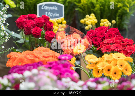 Amsterdam, Niederlande Nahaufnahme von Blumensträuße aus Rosen und andere Arten von bunten Blumen für den Verkauf in einem Outdoor-Markt. Stockfoto