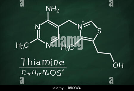 Strukturmodell des Vitamin B1 (Thiamin) an die Tafel. Stockfoto