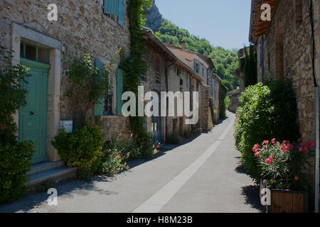 Schmale Stein gepflasterter Straße im ländlichen Frankreich mit seinen grünen, Topfpflanzen und Blumen bunt selbst ausgesät Stockfoto