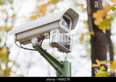 Nahaufnahme Foto ein Outdoor-Überwachungskamera mit Bewegungsmelder im herbstlichen park Stockfoto