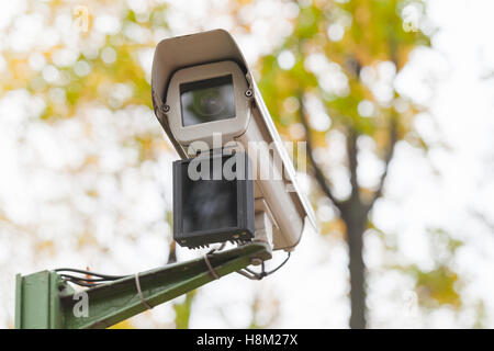 Outdoor-Überwachungskamera mit Bewegungsmelder im herbstlichen park Stockfoto