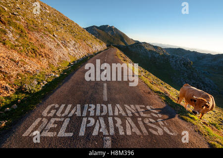 Guardianes del Pariaiso (Wächter des Paradieses), hohe Bergstraße Stockfoto