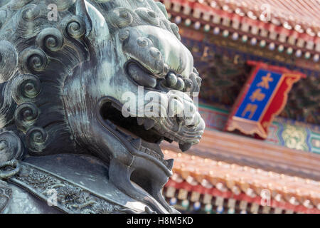 Peking - Detail einer bronzenen Wächter Löwe Statue (Shi) mit der verzierten Architektur des Palastmuseums in der backg Stockfoto