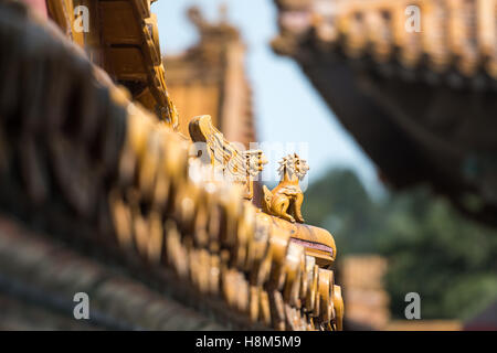 Peking - Detail von den verzierten geschnitzten Dach und Architektur aus dem Palastmuseum in der verbotenen Stadt gelegen. Stockfoto