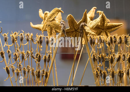 Peking, China - gekocht, Skorpione, Seesterne und Seepferdchen auf Stöcken zum Verkauf auf dem Snack Donghuamen Nachtmarkt, einem großen SIC Stockfoto