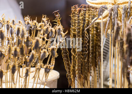 Peking, China - gekocht, Skorpione, Tausendfüßler, Seepferdchen und Seesterne zum Verkauf auf dem Snack Donghuamen Nachtmarkt, eine große Organisationseinheit Stockfoto