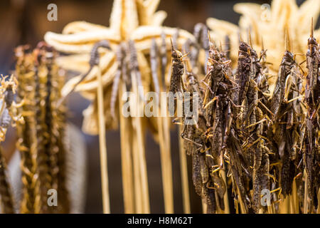 Peking, China - gekocht, Skorpione, Tausendfüßler, Heuschrecken, Seepferdchen und Seesterne zum Verkauf an der Donghuamen Snack-Nacht-Marke Stockfoto