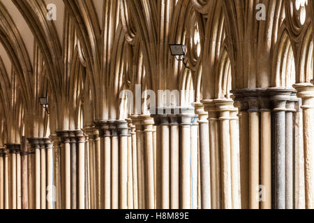 Detail der Kreuzgang der Kathedrale von Salisbury. Stockfoto