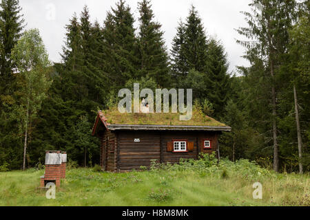 Haus im Tal Valle mit einem isolierten Dach von Pflanzen und Moss, Norwegen, Setesdal, Norwegen Stockfoto