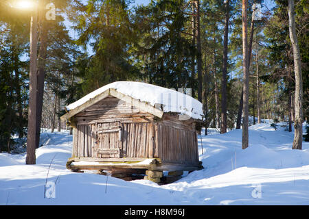 Holzscheit-Hütte im Wald im sonnigen Wintertag Stockfoto