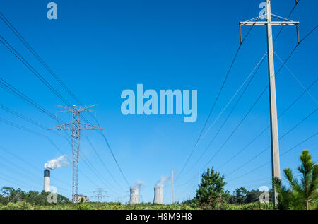 Seminole Generating Station, ein Kohlekraftwerk in Palatka, Florida, verwendet Kohle, die hauptsächlich in Illinois und Kentucky abgebaut wird. (USA) Stockfoto