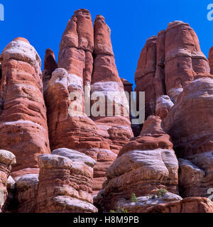 Felsspitzen im Abschnitt Nadeln des Canyonlands National Park in der Nähe von Moab, utah Stockfoto