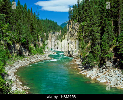 south Fork Flathead River in einem Canyon über Hungry Horse Reservoir in der Nähe Hungry Horse, montana Stockfoto