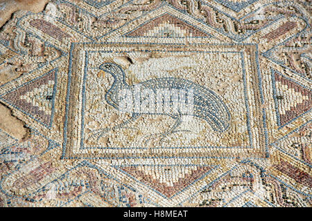 Das Fragment des antiken Mosaik in Kourion, Zypern Stockfoto