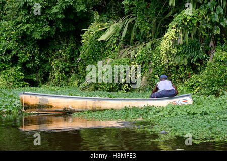 Fischer in den Dschungel des Nationalparks Tortuguero Costa Rica Stockfoto