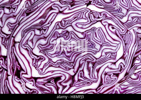 Abstrakte Muster in einer geschnittenen Rotkohl in Nahaufnahme Stockfoto