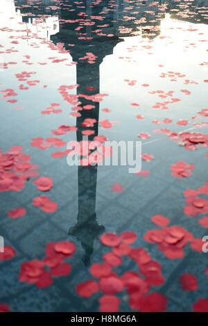 Mohn in den Brunnen am Trafalgar Square mit der Nelson Säule spiegelt sich im Wasser, Remembrance Day 2016 Stockfoto