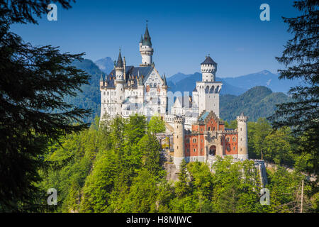 Klassische Ansicht des weltberühmten Schloss Neuschwanstein, einer der meist besuchten Burgen Europas, im Sommer, Bayern, Deutschland Stockfoto