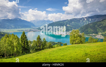 Schöne Bergwelt der Alpen mit klaren See und Wiesen voller blühender Blumen im Sommer, Zell am See, Österreich Stockfoto