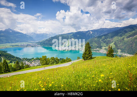 Schöne Bergwelt der Alpen mit klaren See und Wiesen voller blühender Blumen im Sommer, Zell am See, Österreich Stockfoto