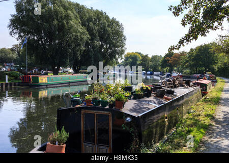 Sehen Sie sich die auf dem Fluss Lea in Springfield Marina, Upper Clapton, London, Großbritannien, verankerten Narrowboats flussabwärts an Stockfoto