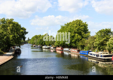 Blick auf den Fluss der Narrowboote, die auf dem Fluss Lea in Upper Clapton, London, Großbritannien, festgemacht sind Stockfoto