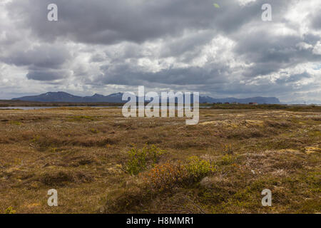 Stave Camping & Hot Pools. Die Moorgebiete rund um das Dorf Stave. Bleik, Andenes, Lofoten Inseln, Norwegen. Stockfoto