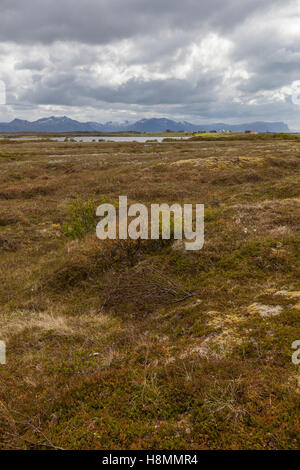 Stave Camping & Hot Pools. Die Moorgebiete rund um das Dorf Stave. Bleik, Andenes, Lofoten Inseln, Norwegen. Stockfoto