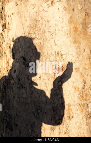 Mans Schatten halten Herz Stockfoto