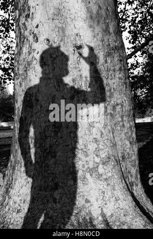 Mans Schatten halten Herz Stockfoto