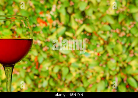 Rotweinglas floral grünen Hintergrund. Hintergrundbild mit Textfreiraum Stockfoto