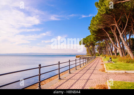 Promenade oder Esplanade und Kiefer Bäume in Bolsena See, Italien. Stockfoto