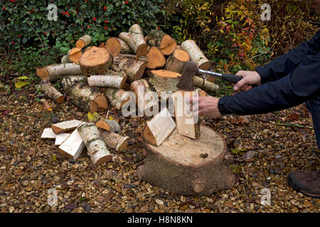 Haufen von Protokollen mit Axt für Brennholz geschnitten Stockfoto