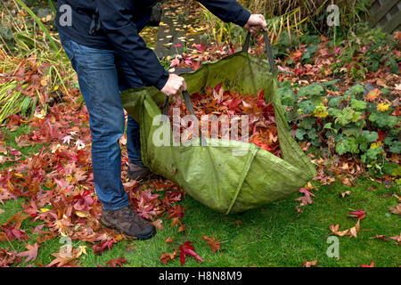 Garten zu verweigern Sack voller Blätter im Herbst englischen Garten Stockfoto