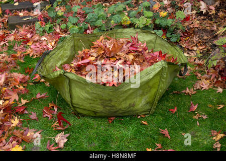 Garten zu verweigern Sack voller Blätter im Herbst englischen Garten Stockfoto