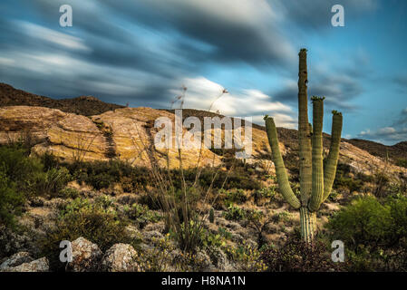 Sonnenuntergang über Javelina Felsen im Saguaro National Park East in der Nähe von Tucson, Arizona. Langzeitbelichtung. Stockfoto