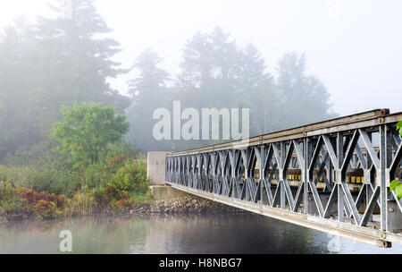 Zurückweichenden Sichtbarkeit im Wald eingehüllt in feuchten Morgennebel. Stockfoto