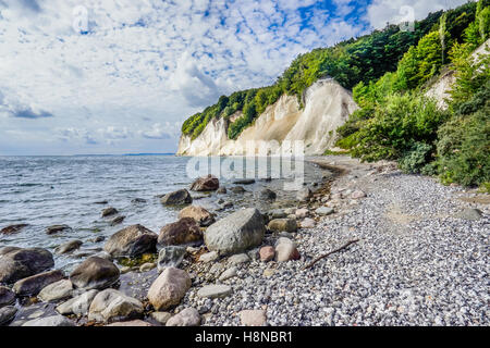Kreidefelsen im Jasmund National Park in der Nähe von Königsstuhl (Königs Stuhl), Küste Insel Rügen, Mecklenburg-Vorpommern, Deutschland Stockfoto
