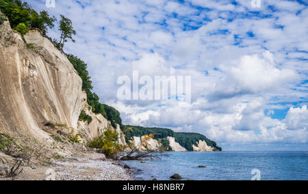 Kreidefelsen im Jasmund National Park in der Nähe von Königsstuhl (Königs Stuhl), Küste Insel Rügen, Mecklenburg-Vorpommern, Deutschland Stockfoto