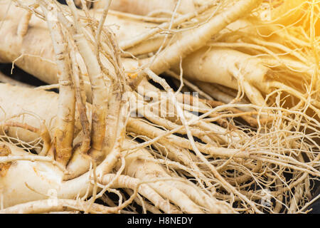 Nahaufnahme des trockenen Ginseng Wurzeln mit warmen Lichteffekt, pflanzliche Essenskonzept, gesunde Ernährung Konzept, selektiven Fokus. Stockfoto