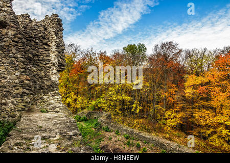 Steinmauer von eine alte Burgruine in den herbstlichen Wald mit Laub Stockfoto