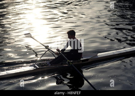 Männliche Ruderer training am Fluss Avon, Bath, UK Stockfoto