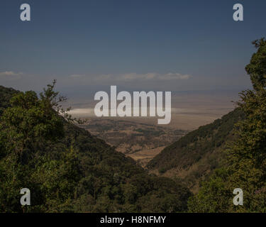 Ein Blick auf die Ngorongoro Crater von der Lippe der caldera Stockfoto