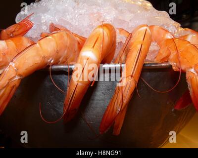 Nahaufnahme von frischen Garnelen in einem Eimer Eis, Mercado de San Miguel, Madrid, Spanien Stockfoto