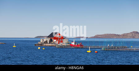 Norwegische Fischfarm für Lachs in natürlicher Umgebung wachsen. Meer-Fjord in Norwegen Trondheim region Stockfoto