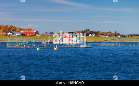 Norwegische Fischfarm für Lachs wächst. Meer-fjord Stockfoto