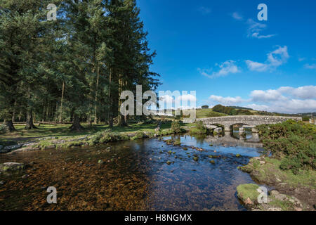 Wald und Brücke über den East Dart River auf Dartmoor. Stockfoto