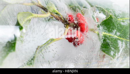 Closeup Holly Beeren und Blätter eingehüllte in massiven Block aus Eis, mit interessanten Luftblase Muster Stockfoto