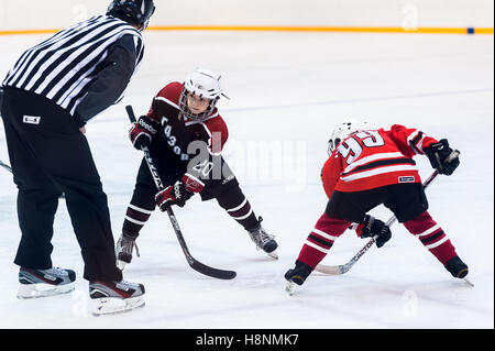 Puck spielen zwischen Spielern des Eishockey teams Stockfoto